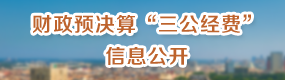 财政预决算“三公经费”