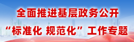 全面推进基层政务公开标准化规范化试点专题