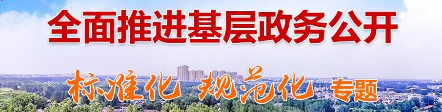 基层政务公开“两化”专题