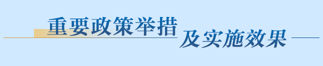 重要政策举措及实施效果